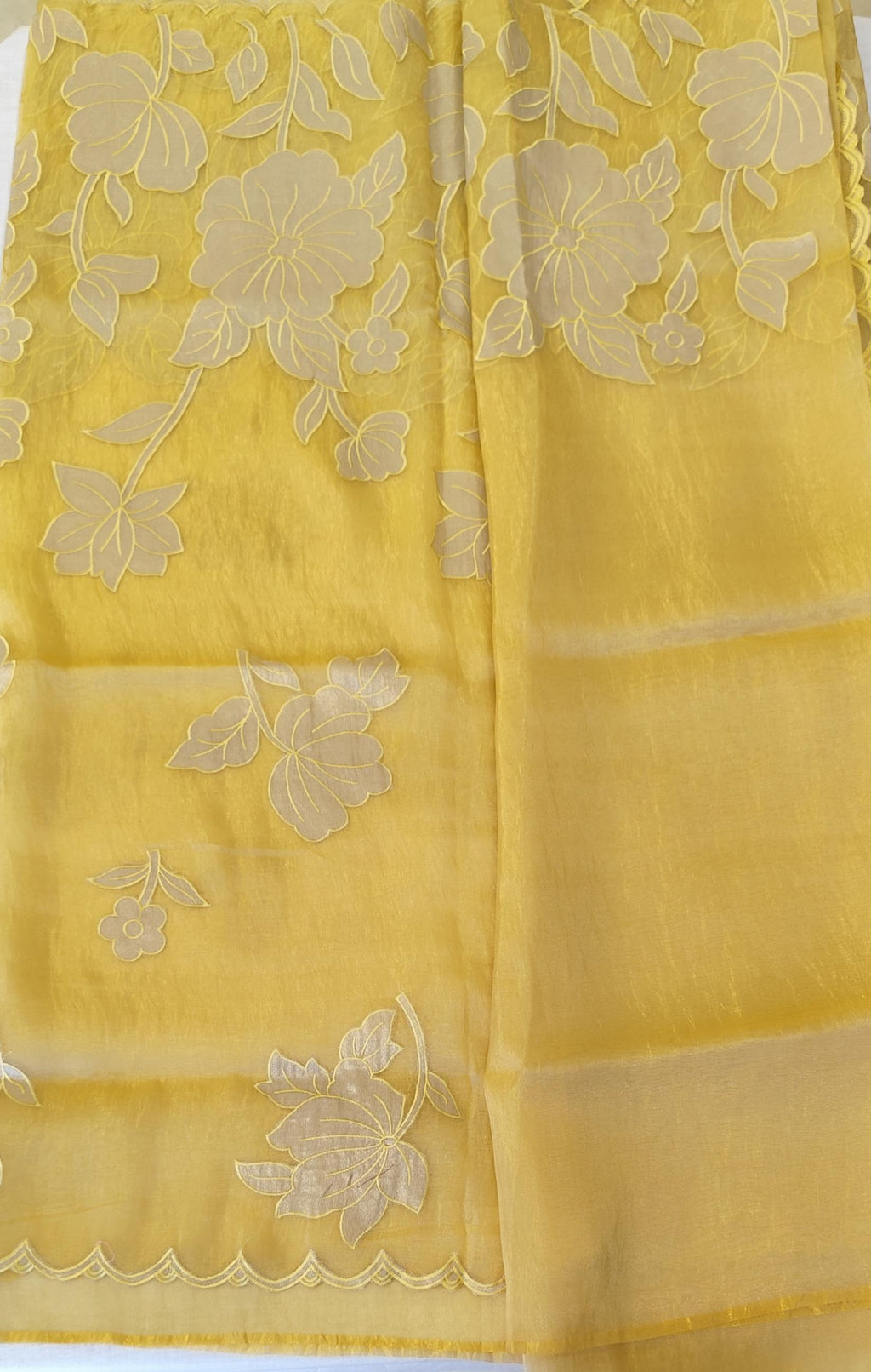 Organza saree
