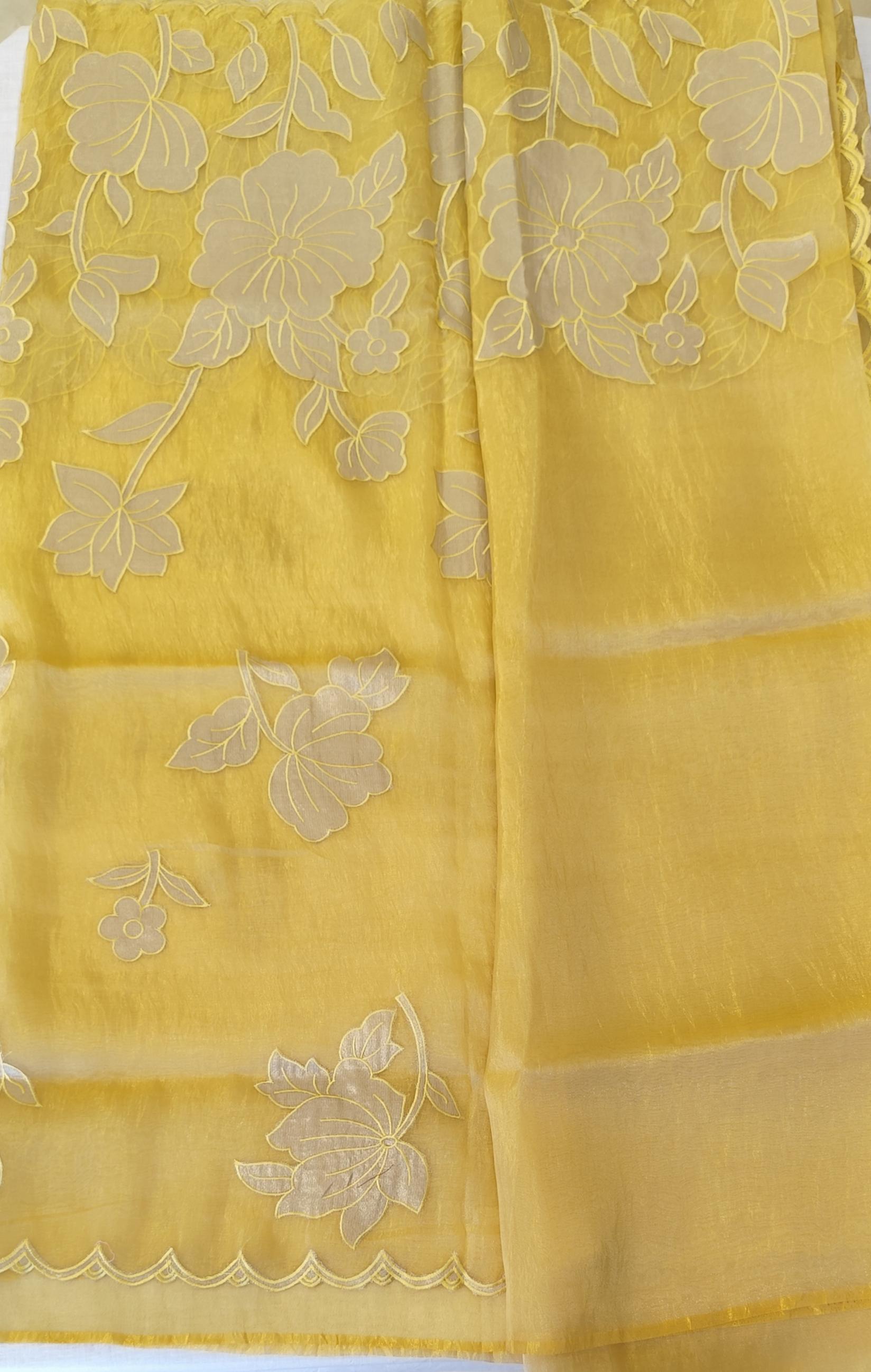 Organza saree
