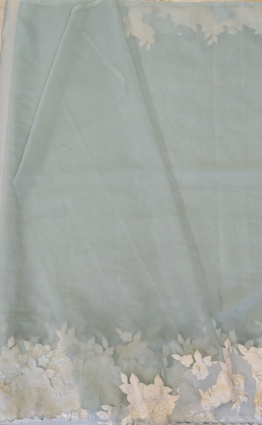 Organza saree