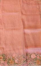 Organza saree