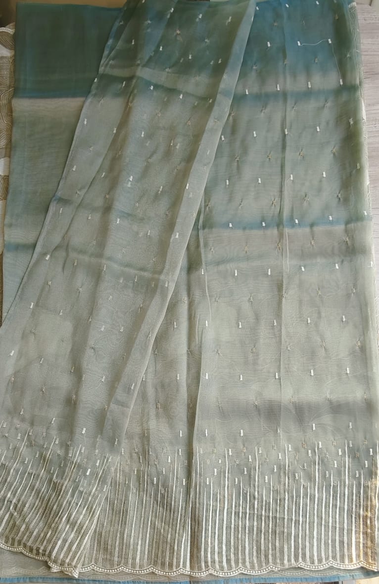 Organza saree