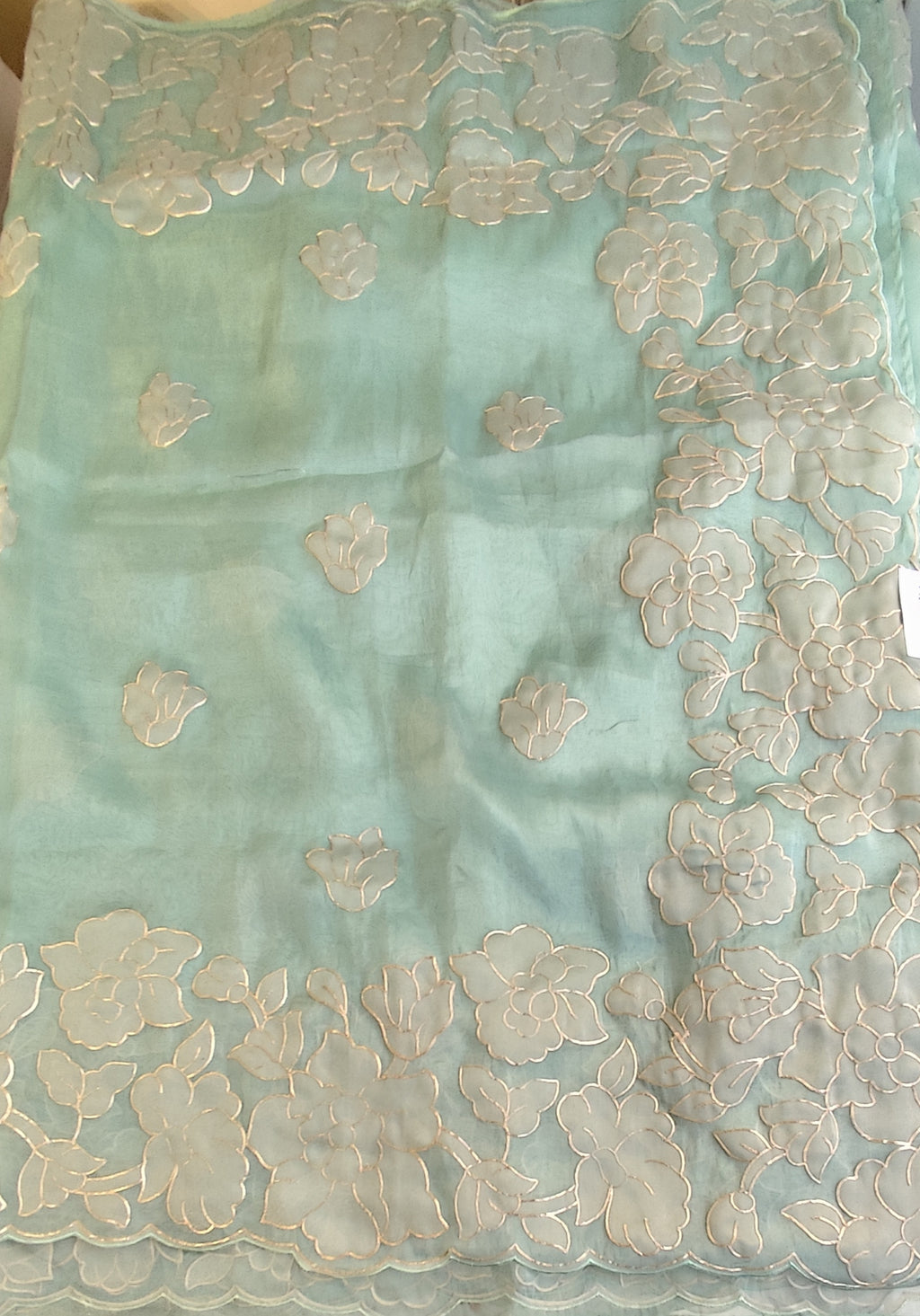Organza saree