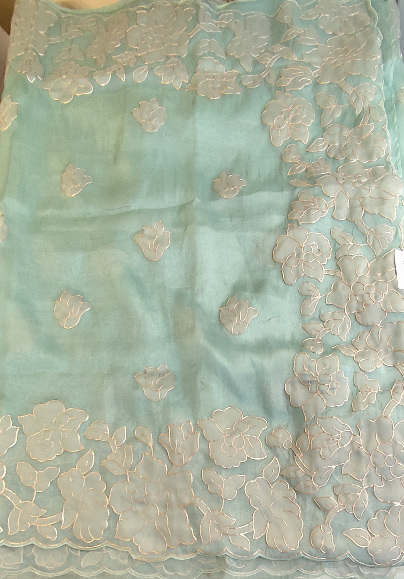 Organza saree