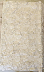 Turkish organza saree