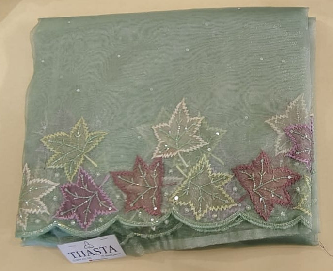 Glass organza saree