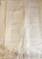 Organza saree