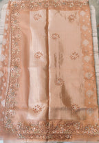 Organza saree