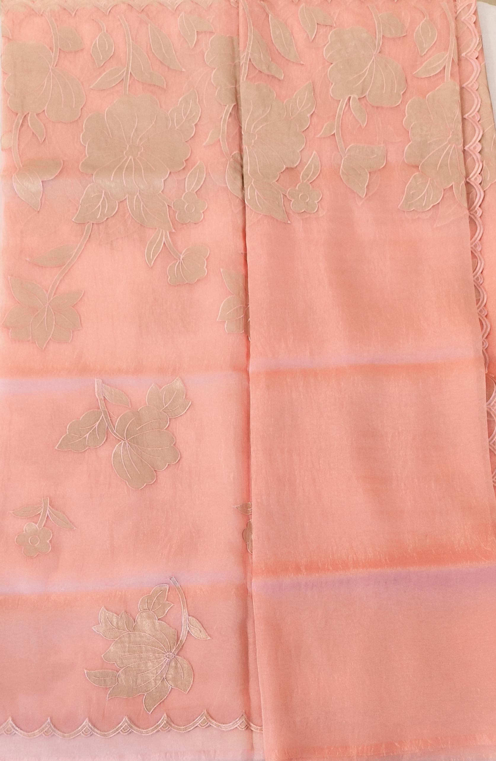 Organza saree