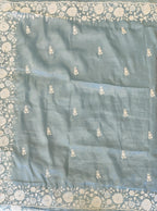 Organza saree
