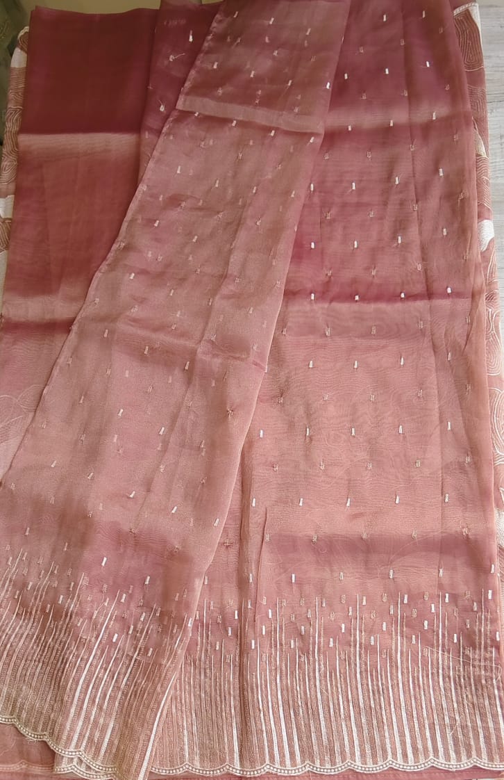 Organza saree