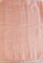Tissue organza saree