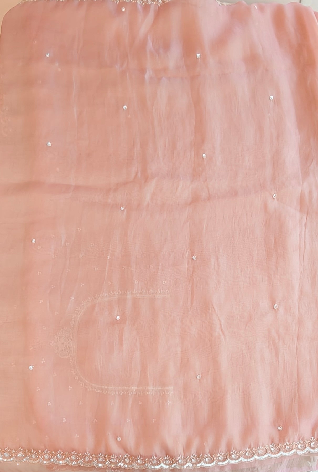 Tissue organza saree