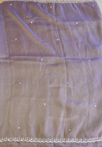 Tissue organza saree