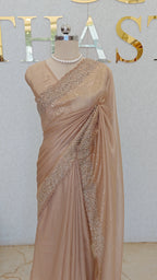RAINA NET TISSUE SAREE