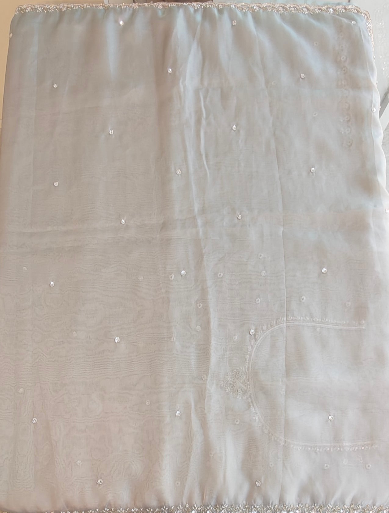 Tissue organza saree