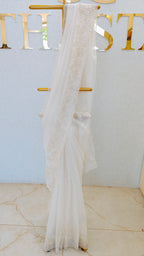 GLASS ORGANZA SAREE