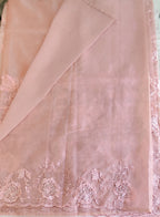 Organza saree