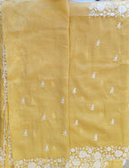 Organza saree