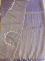 Tissue organza saree