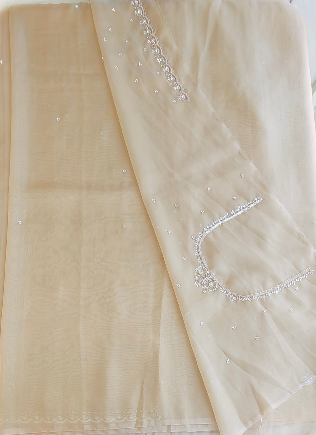 Tissue organza saree
