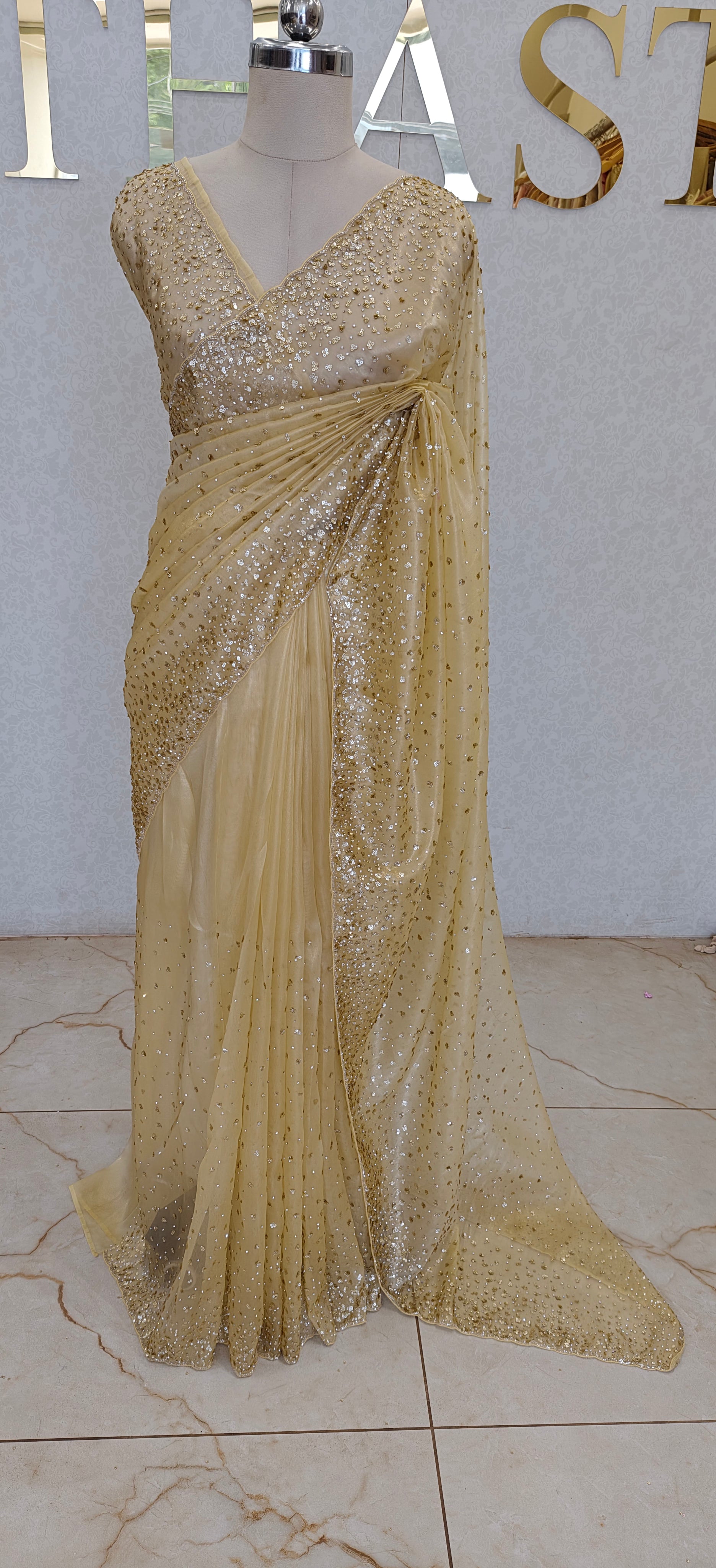 RAINA TISSUE SAREE