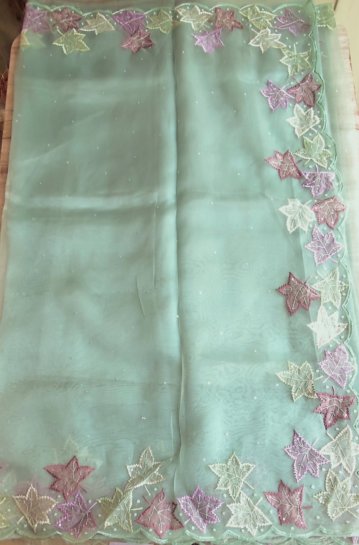 Glass organza saree