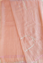 Tissue organza saree