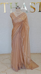 RAINA NET TISSUE SAREE