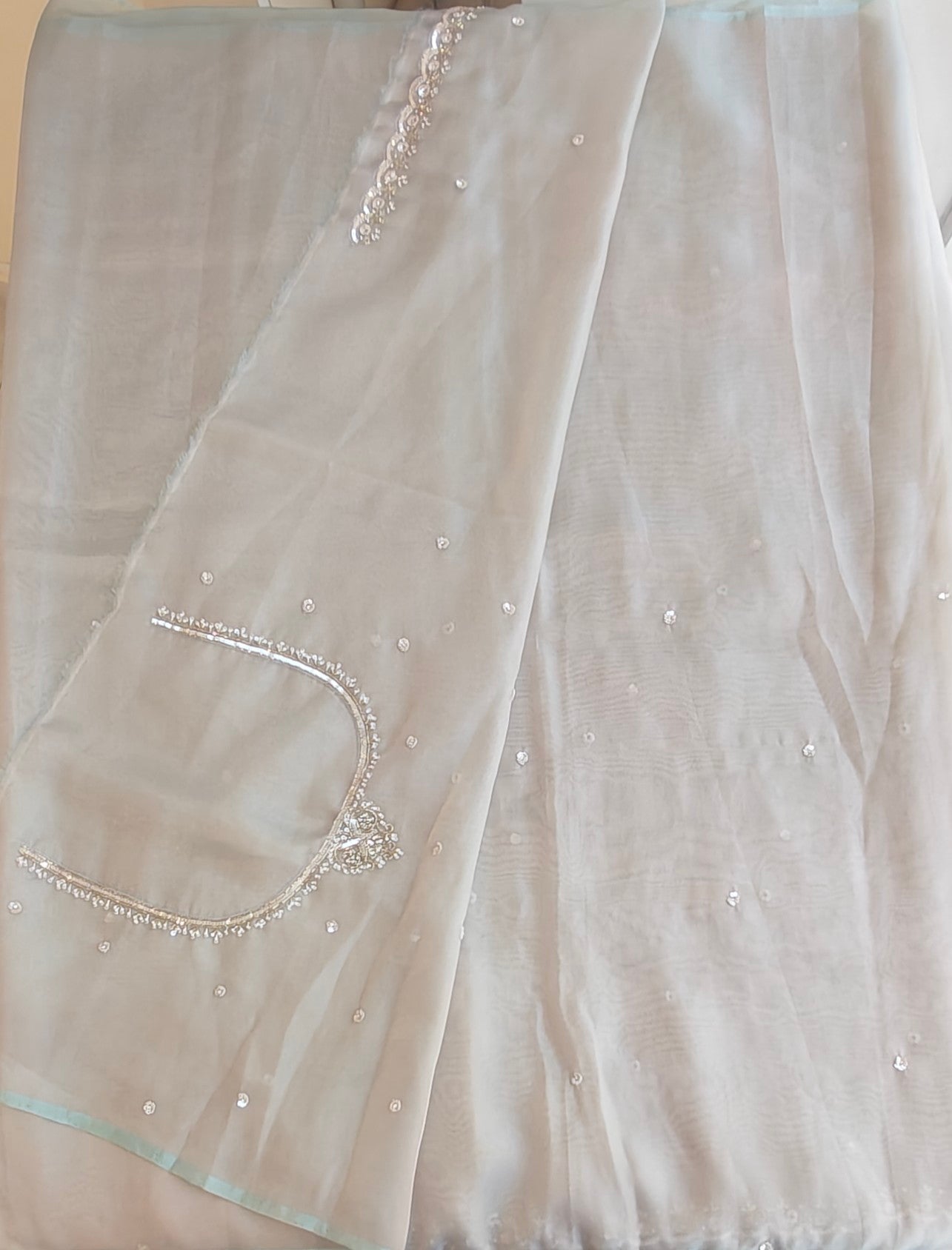 Tissue organza saree