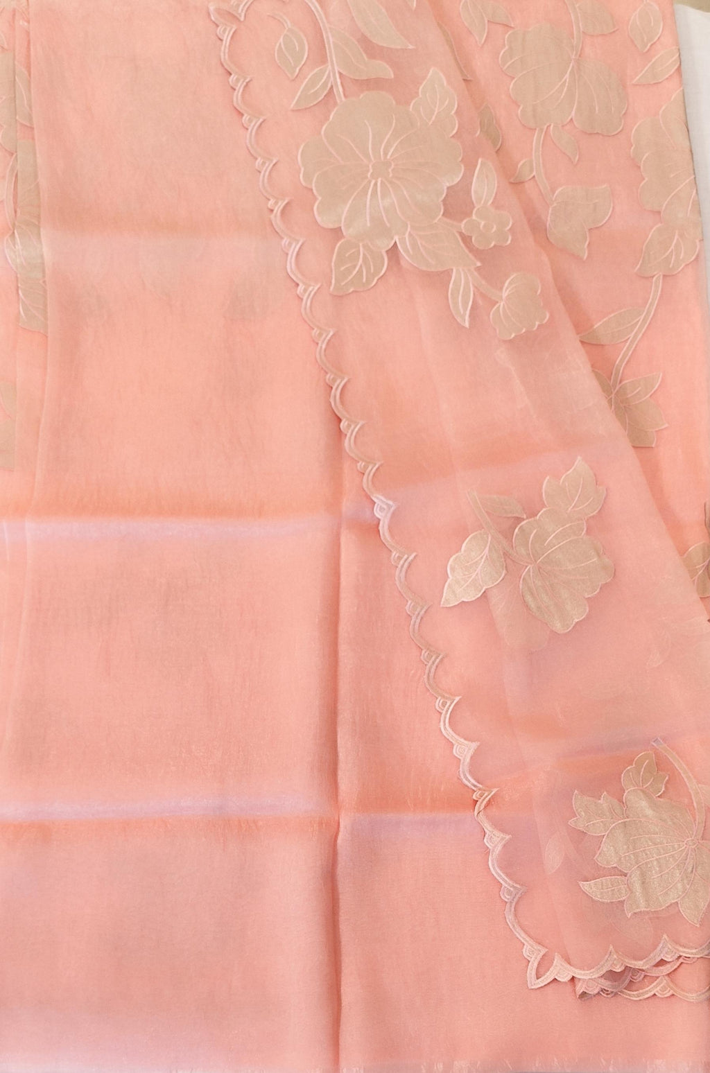 Organza saree