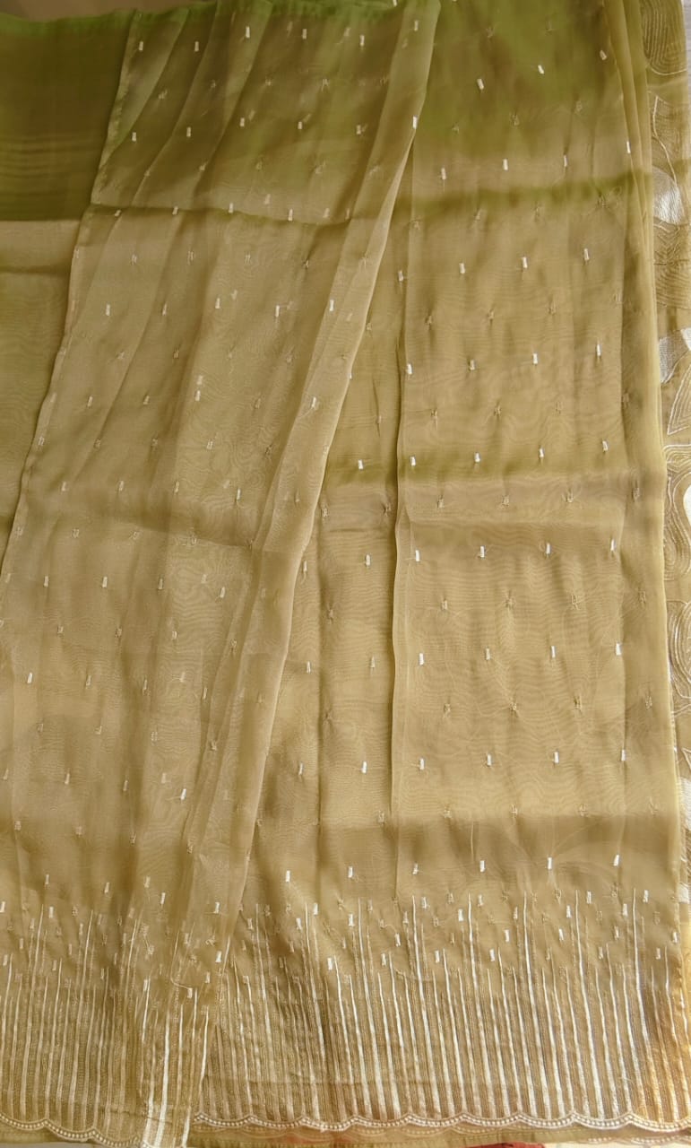 Organza saree