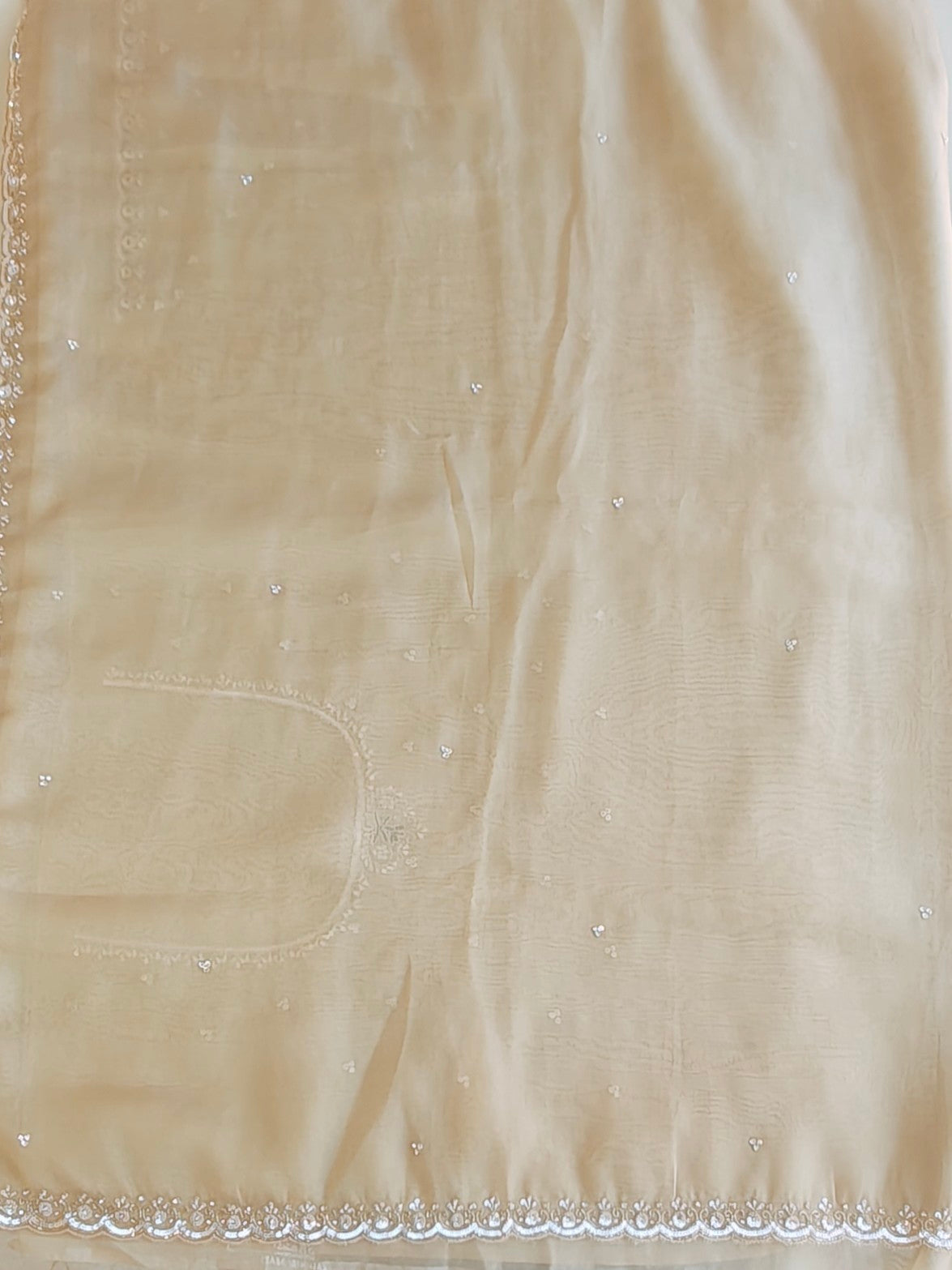 Tissue organza saree