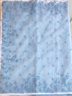 Organza saree