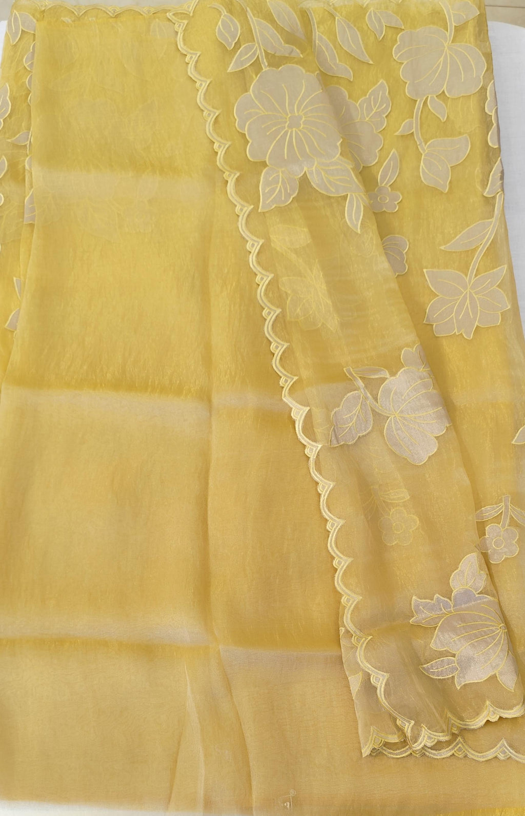 Organza saree