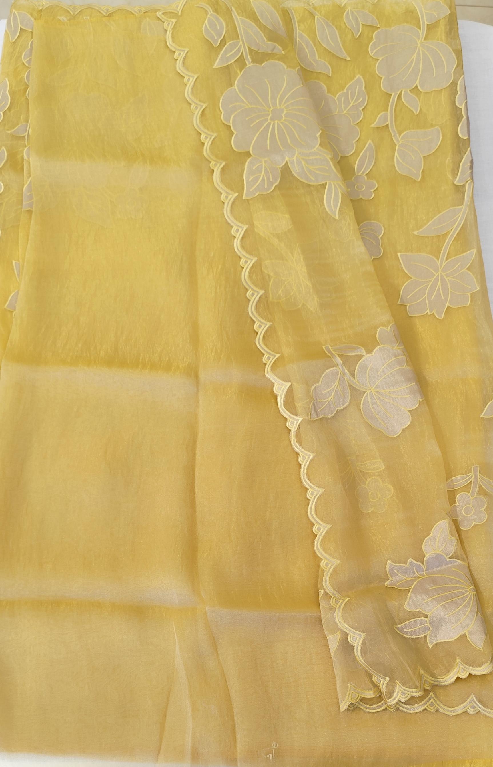 Organza saree